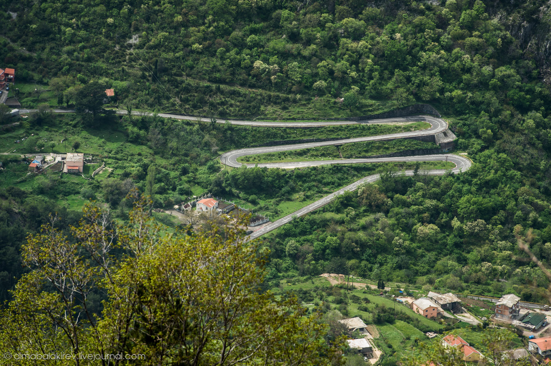 Kotor